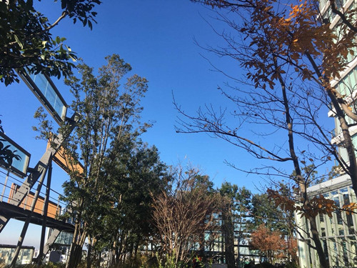 日本景觀考察：與隈研吾、戶田芳樹大師對(duì)話