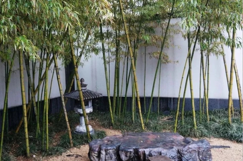 中式建筑的回歸與創新