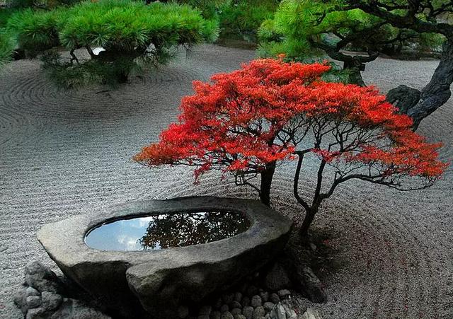 佛系庭院，就是極致空靈！