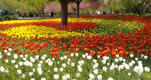 吳中勝境太湖明珠：蘇州上方山國家森林公園