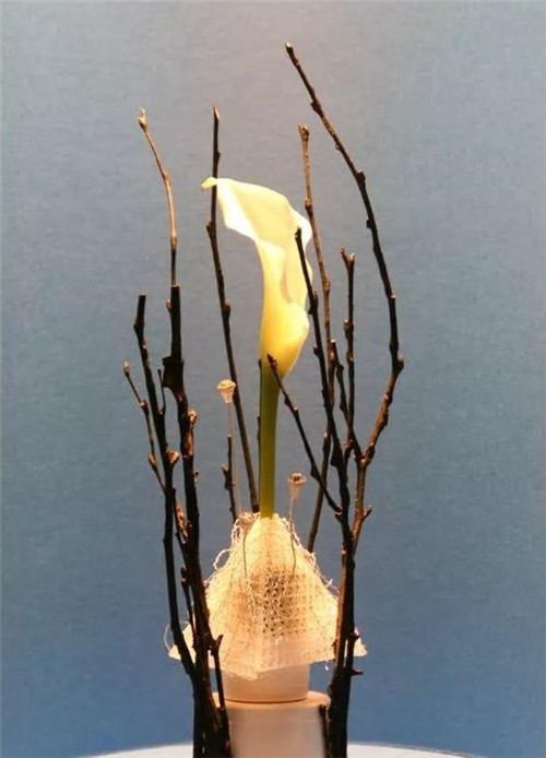 美國費(fèi)城的盆景與插花藝術(shù)展