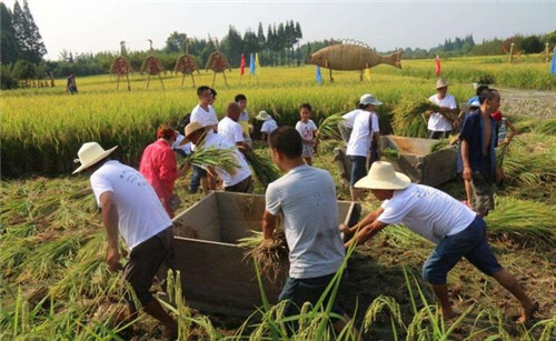 關(guān)于休閑農(nóng)業(yè)的盈利模式？