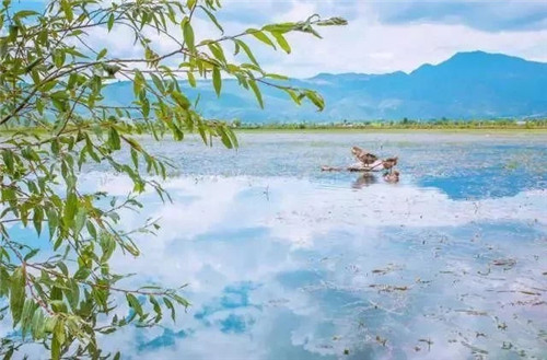 云南省第一個以濕地命名的保護區
