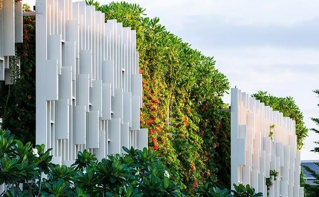 什么植物才適合用來做室外垂直綠化？