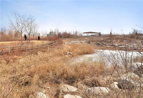 城市公園作為公共空間，如何展現(xiàn)城市魅力