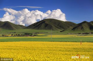 為保護(hù)生態(tài)環(huán)境景區(qū)發(fā)布禁游令 永葆綠洲生機(jī)