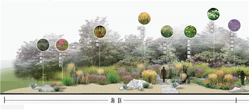 河北省第二屆（秦皇島）園博會花境創意作品——山海境