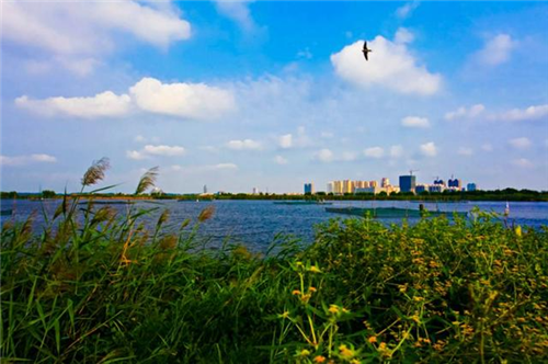 鄭文俊：桂林兩江四湖環(huán)城水系景觀建設思考