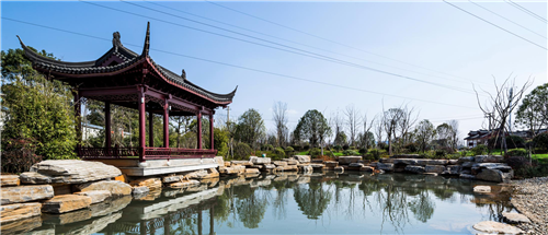 園冶杯專(zhuān)業(yè)獎(jiǎng)：臨湘中心城區(qū)綠化改造工程