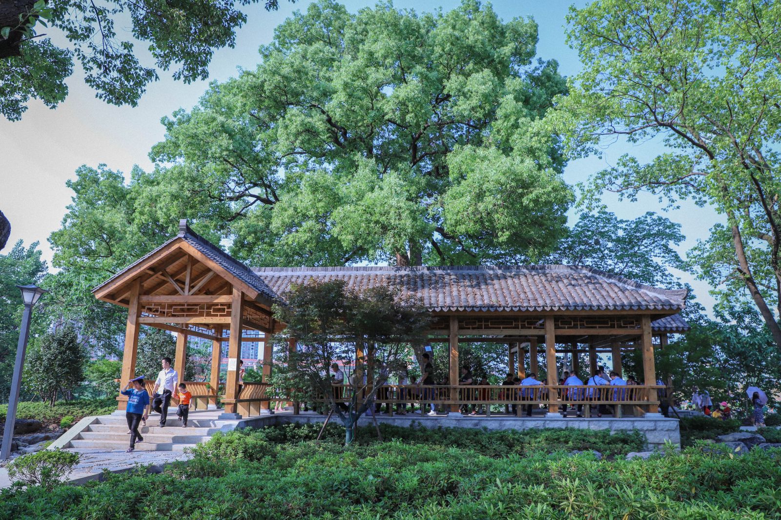園冶杯專業(yè)獎：衡陽市東洲島綜合開發(fā)項目景觀設(shè)計