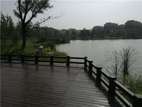 園冶杯專業(yè)獎：鳳陽縣新城區(qū)水系治理工程