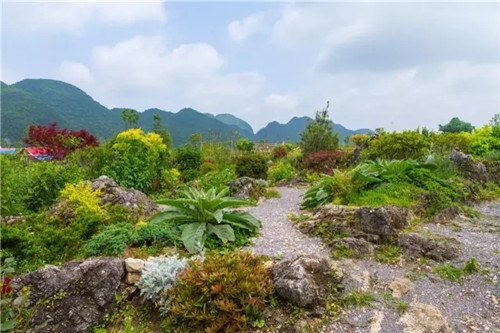 “秘密花園”，云漫湖的詩與遠方！
