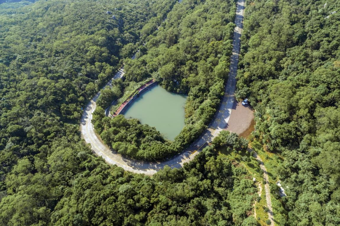 2019園冶杯專業獎丨廣東南澳海島國家森林公園總體規劃