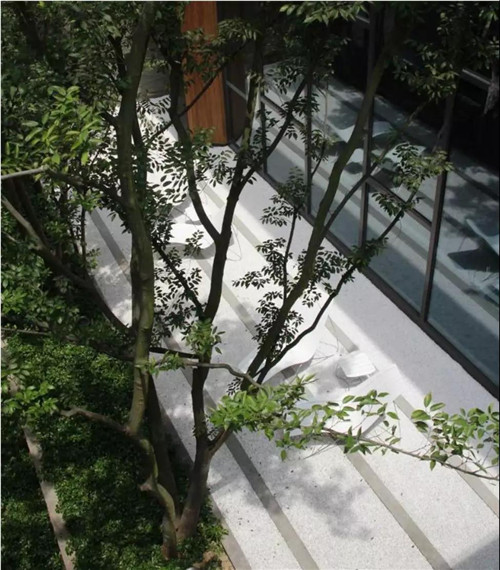 種地設(shè)計亮相聯(lián)合國世界城市論壇