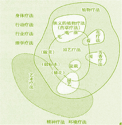 李樹華：園藝療法保持復工后身心健康