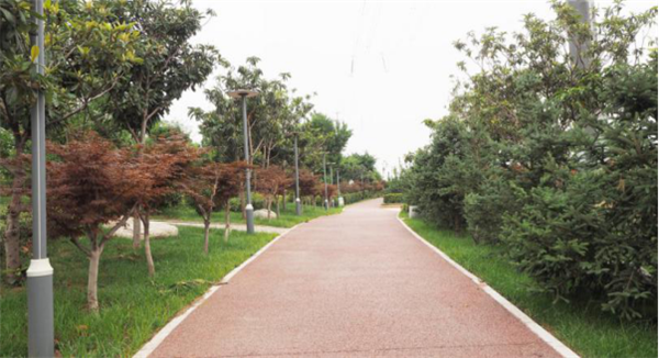 鄭港十路中央生態公園