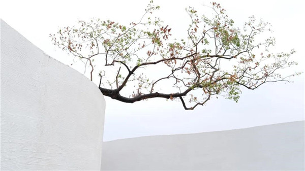 希爾景觀丨南昌力高國(guó)資 · 雍江府