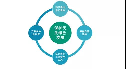 鮑達(dá)明：加強濕地保護(hù)，促進(jìn)綠色發(fā)展