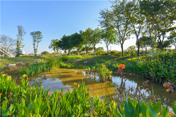 佛山西江產(chǎn)業(yè)新城景觀設(shè)計