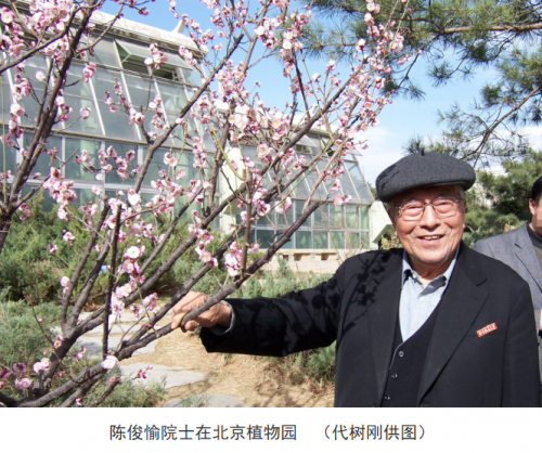 代樹剛：“南梅北移”讓京城百姓看得見梅花