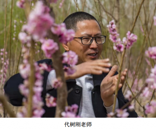 代樹剛：“南梅北移”讓京城百姓看得見梅花