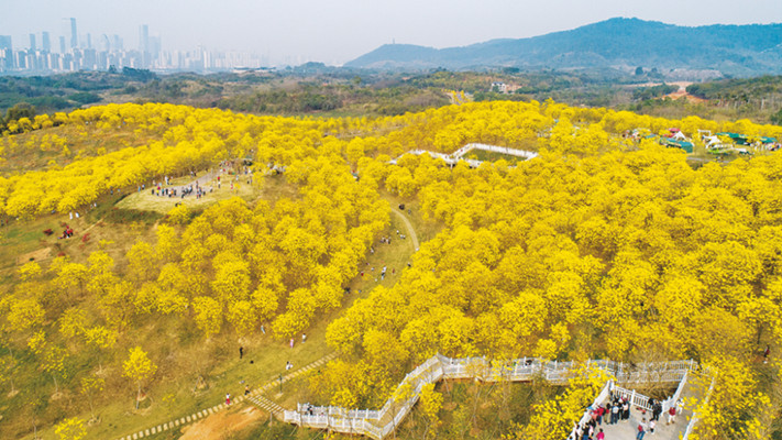 南寧積極探索“公園＋”模式構(gòu)建生態(tài)美麗宜居綠城