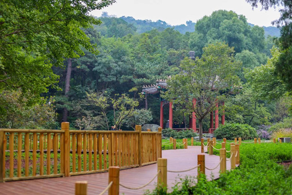 北京香山公園設立首個古樹保護示范區(qū)