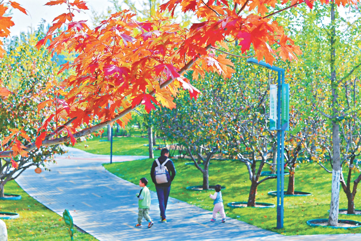 全國首個(gè)碳循環(huán)公園落地北京城市副中心