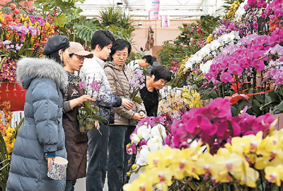 今年年宵花更注重傳統(tǒng)文化與現(xiàn)代元素的融合