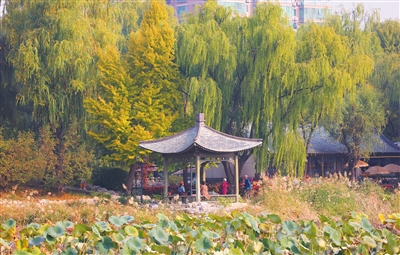 北京市推動花園城市建設，5個區開展試點工作