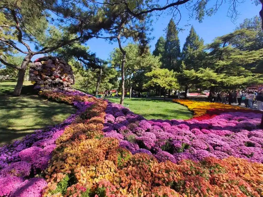 “公園+”激活“花園經濟” 朝陽花園節3月20日啟幕