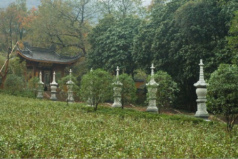 法云弄前山門