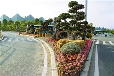 美麗龍崗