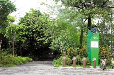 美麗龍崗