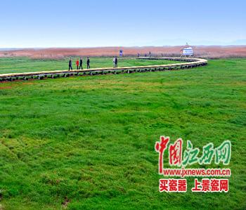 江西濕地，拿什么保護你(圖)
