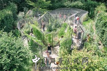 2014法國(guó)國(guó)際花園節(jié):LES FLEURS MAUDITES