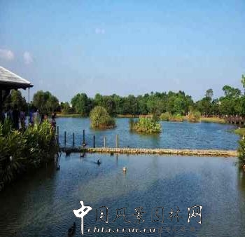 臺(tái)灣考察項(xiàng)目——八德埤塘生態(tài)公園（組圖）