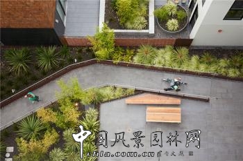 美國(guó)加利福尼亞州常春藤社區(qū)住宅景觀設(shè)計(jì)