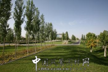 中國(guó)風(fēng)景園林網(wǎng)