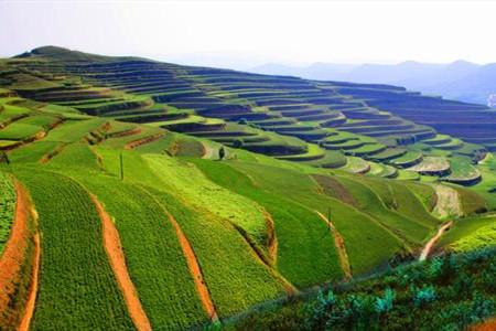 大力推進(jìn)新時(shí)代生態(tài)文明制度建設(shè)
