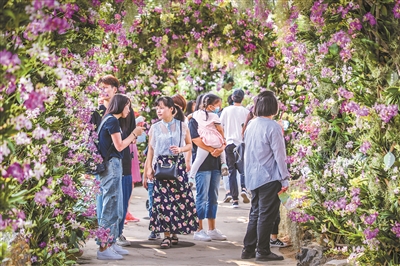 專家熱議：高水平推進(jìn)國(guó)家植物園體系建設(shè)