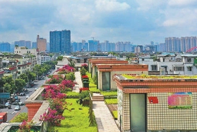 成都天府新區(qū)：讓公園城市有機(jī)生長