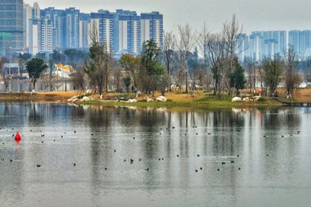 成都不斷探索公園城市建設(shè)實踐路徑