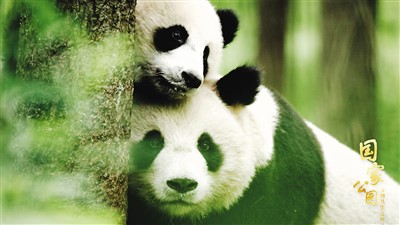 走進(jìn)國(guó)家公園 記錄萬(wàn)物共生之美