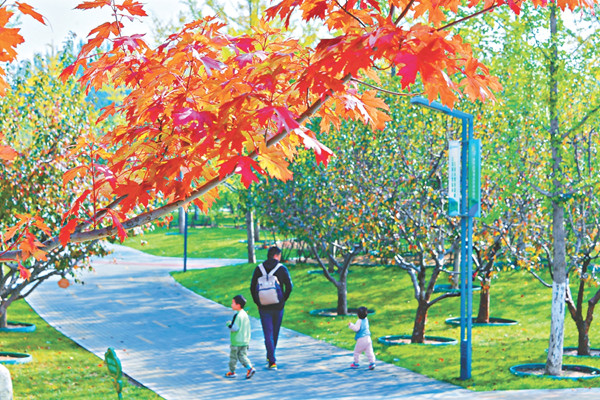 全國首個(gè)碳循環(huán)公園落地北京城市副中心