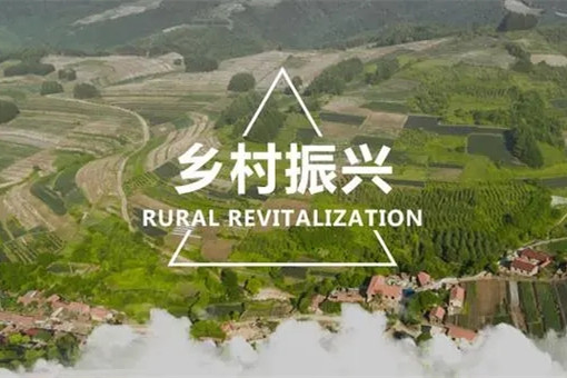 代表委員熱議兩會：有力有效，推進鄉(xiāng)村全面振興
