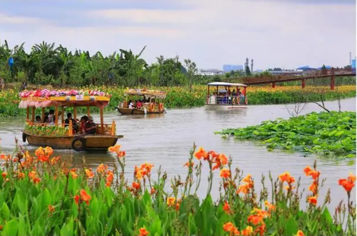 廣東：濕地公園活動(dòng)不斷上線(xiàn) 濕地旅游持續(xù)升溫