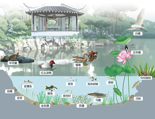 蘇州園林，何以展現生態意境？
