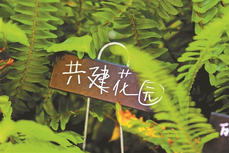 深圳：打造城市里的公園與公園里的城市